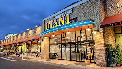 スーパー　フードオアシスオータニ 平松店（スーパー）まで1000m