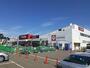 ホームセンター　ＤＣＭ青森東バイパス店（ホームセンター）まで500m