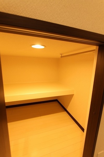 収納　ロフト下収納