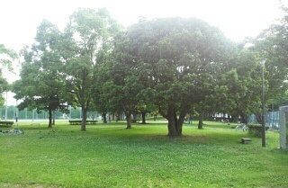 公園　大岡公園（公園）まで400m