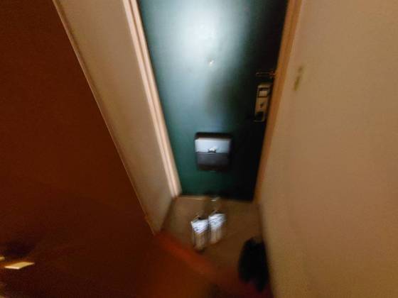 玄関　※別号室の写真です