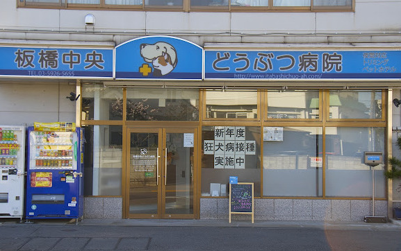 病院　板橋中央どうぶつ病院（病院）まで933m