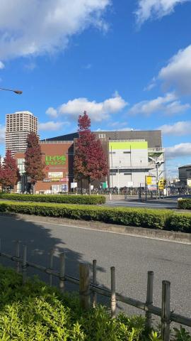 ホームセンター　ロイヤルホームセンター（ホームセンター）まで887m