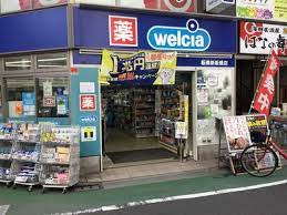 その他　【ドラッグストア】ウエルシア板橋新板橋店（その他）まで420m