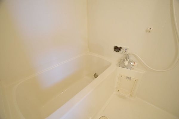 バス・シャワールーム　２０２号室の写真です