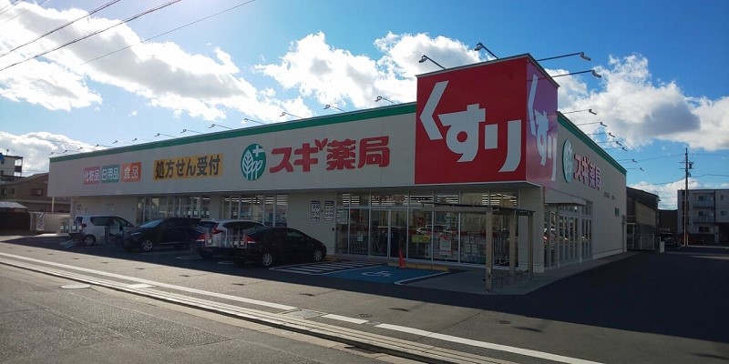 ドラックストア　スギ薬局浜松海老塚店（ドラッグストア）まで305m
