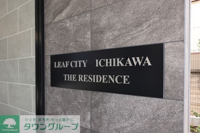 その他　2025年5月撮影