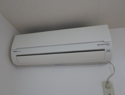 その他　アンプルールフェール白亜