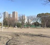 公園　川崎市中原平和公園（公園）まで1665m