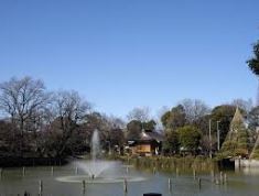 公園　碑文谷公園（公園）まで800m