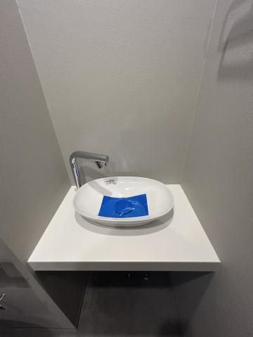 洗面設備　別タイプ部屋　参考写真です