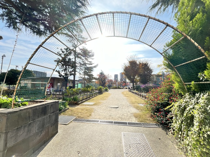 公園　渋江公園（公園）まで290m