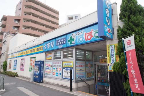 ドラックストア　どらっぐぱぱす 下落合店（ドラッグストア）まで664m
