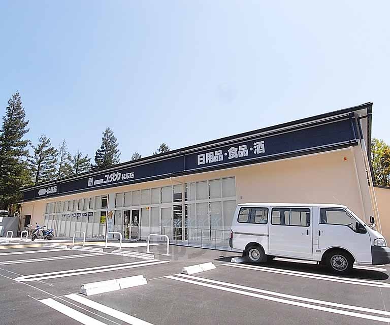 ドラックストア　ドラッグユタカ桂坂店（ドラッグストア）まで500m