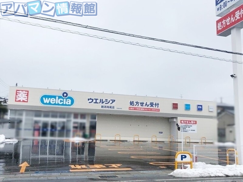 ドラックストア　ウエルシア新潟寺尾店（ドラッグストア）まで484m