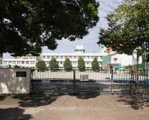 小学校　名古屋市立松原小学校（小学校）まで247m