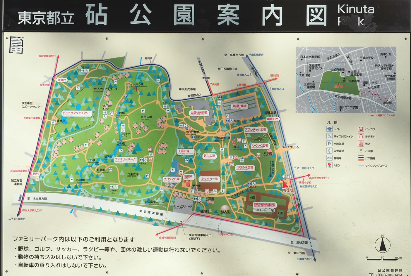 公園　東京都立砧公園（公園）まで844m