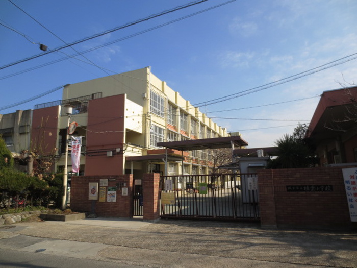 小学校　枚方市樟葉小学校（小学校）まで232m