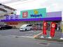 ドラックストア　ウェルパーク東葛西店（ドラッグストア）まで540m