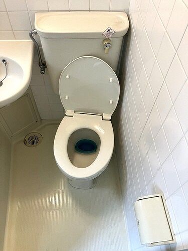 ライオンズプラザ淵野辺のトイレ写真