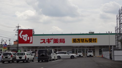 ドラックストア　スギ薬局 岡崎欠町店（ドラッグストア）まで323m