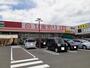 ドラックストア　ひまわり御幸店（ドラッグストア）まで1100m