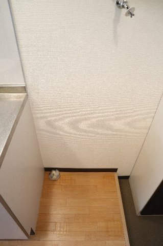 その他　室内洗濯機置場です