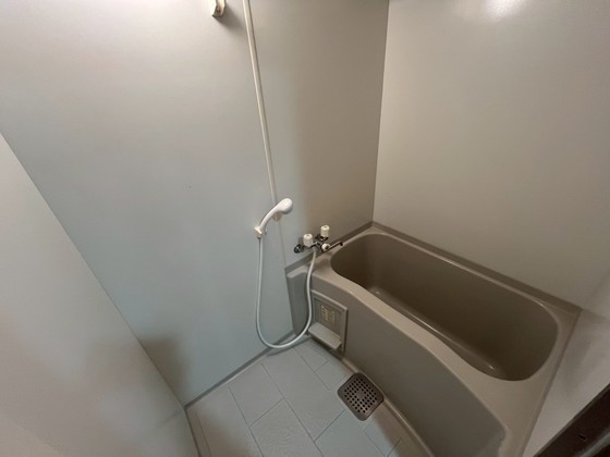 バス・シャワールーム　※別部屋の写真です