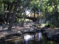 公園　林試の森公園（公園）まで595m