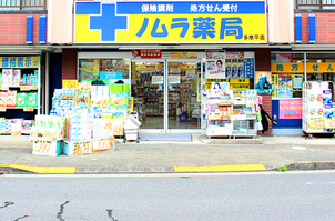 ドラックストア　ノムラ薬局多摩平店（ドラッグストア）まで1348m