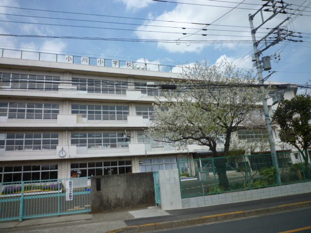 小学校　小川小学校（小学校）まで274m