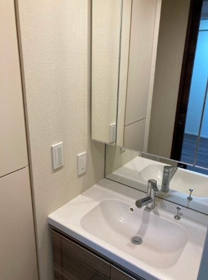 洗面設備　他タイプのお写真です