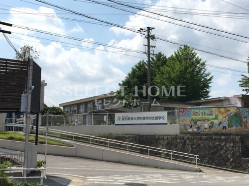 その他　愛知教育大学附属特別支援学校（その他）まで534m
