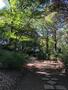 公園　染井の杜広場（公園）まで4184m