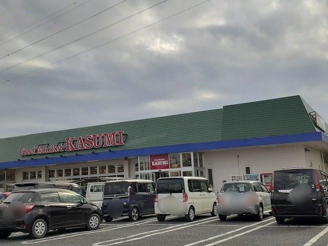 スーパー　カスミフードスクエア杉戸店（スーパー）まで400m