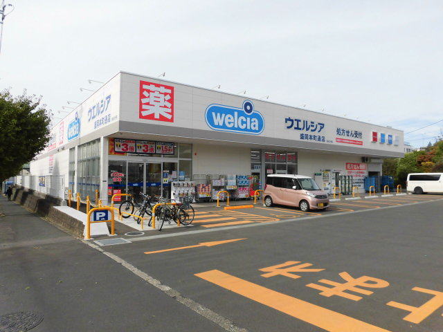 ドラックストア　ウエルシア盛岡本町通店（ドラッグストア）まで399m