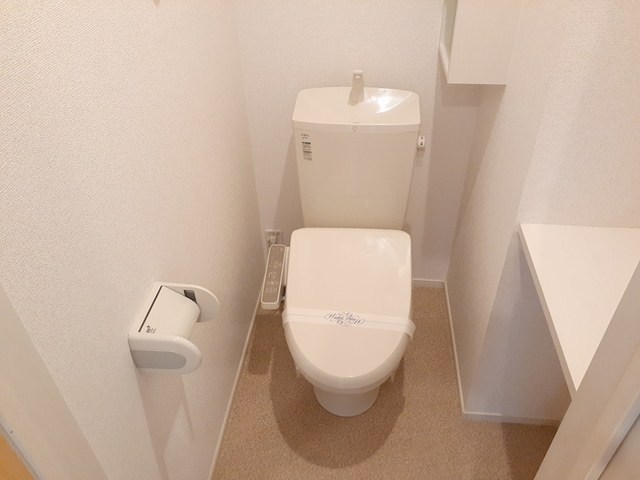 メゾン グランディールのトイレ写真