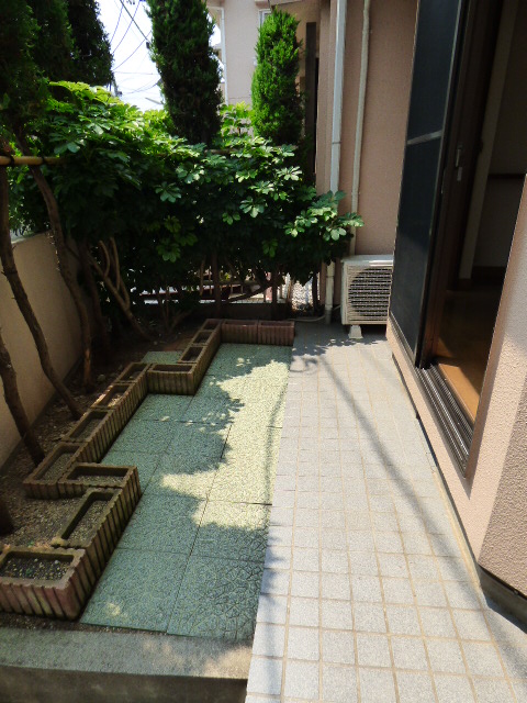 庭
