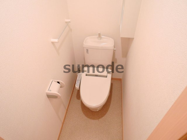 阪急京都線 富田駅 徒歩27分 2階建 築17年のトイレ写真