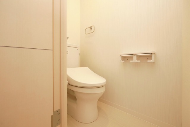 VIVACE三国ヶ丘のトイレ写真