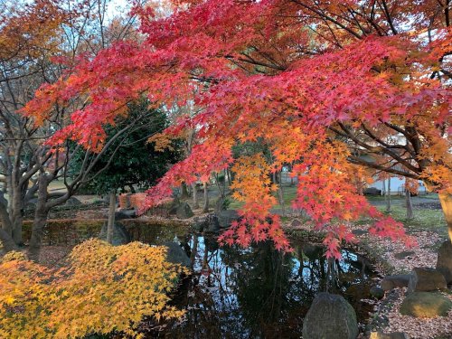 公園　かつらぎ公園（公園）まで982m