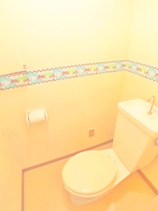 ヴェルデ浦和のトイレ写真