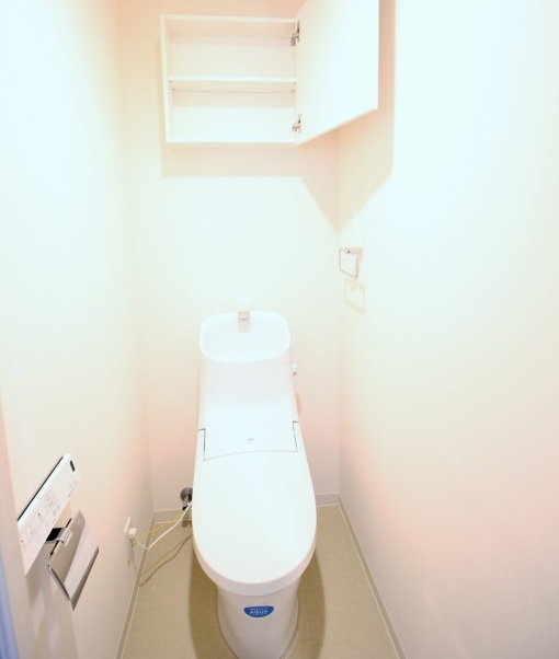 グランシャリオ武蔵小杉のトイレ写真
