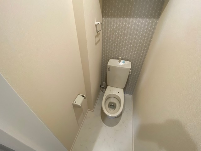 メゾンSDのトイレ写真