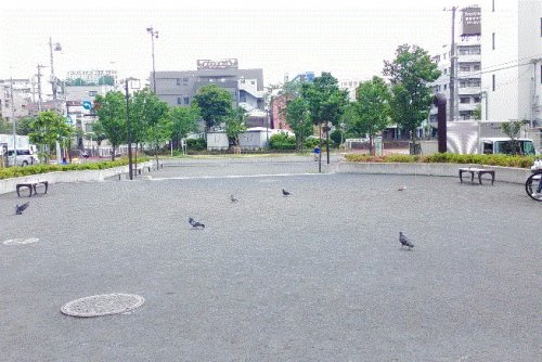 公園　富士見川公園（公園）まで461m