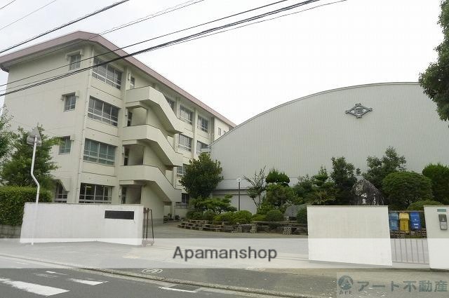 小学校　石井小学校（小学校）まで1107m