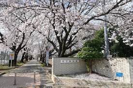 【甲斐市中下条のアパートの公園】