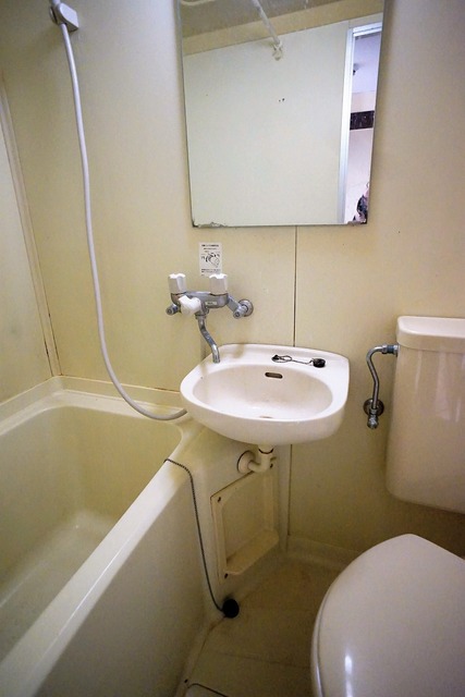 洗面設備　参考写真（同建物別部屋のものです）