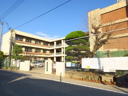小学校　福山市立 手城小学校（小学校）まで168m