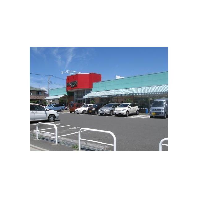 スーパー　しまむらストアー（スーパー）まで60m